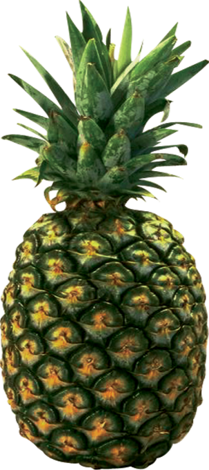 pineapple